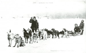 Fig. 4: Howling Dog Team, postcard, 1906. Photograph by F. H. Nowell. Iris Magnell Collection. From Ray 1996, 124.