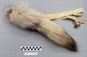 , Inupiaq wolf tail belt and wolf nose headdress, 1900 – 1980, Barrow, Alaska, wolf tail, caribou skin, ivory, glass beads, cotton thread; Image courtesy of the University of Alaska Museum of the North.