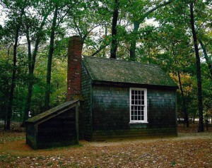 Reproduction of Thoreau's cabin at Walden Pond / Courtesy of Dickinson College